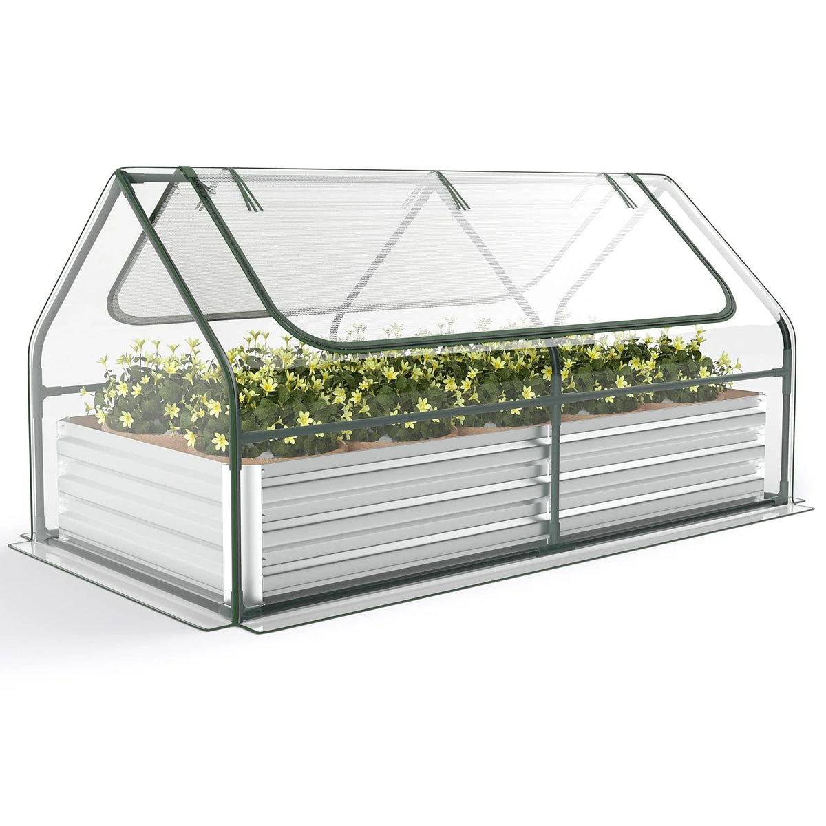 6FT x 3FT x 3FT Galvanized Bottomless Raised Garden Bed with Greenhouse, Dual 2-Tier Roll-Up Windows - Product image 1