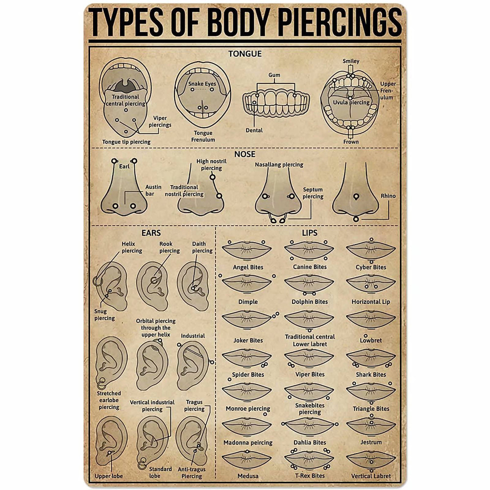Types of Body Piercings Tin Sign Knowledge Popular Science Poster School Farm Garden Hospital Information Table Bar Garage Club Home Wall