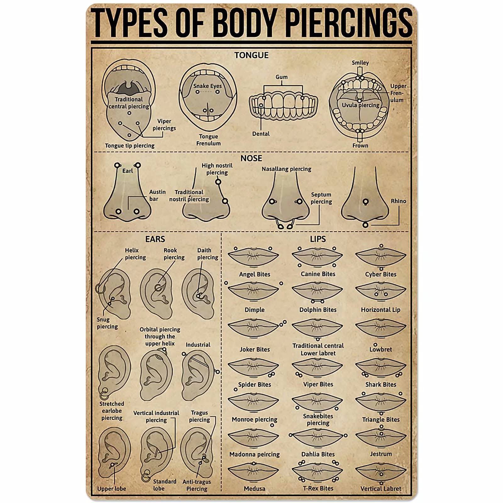 Types of Body Piercings Tin Sign Knowledge Popular Science Poster School Farm Garden Hospital Information - Product image 1